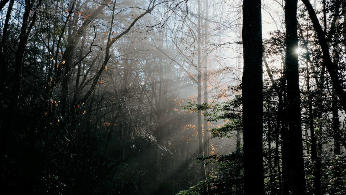 出櫃過程沒有家庭革命，因為我有很愛我的爸媽